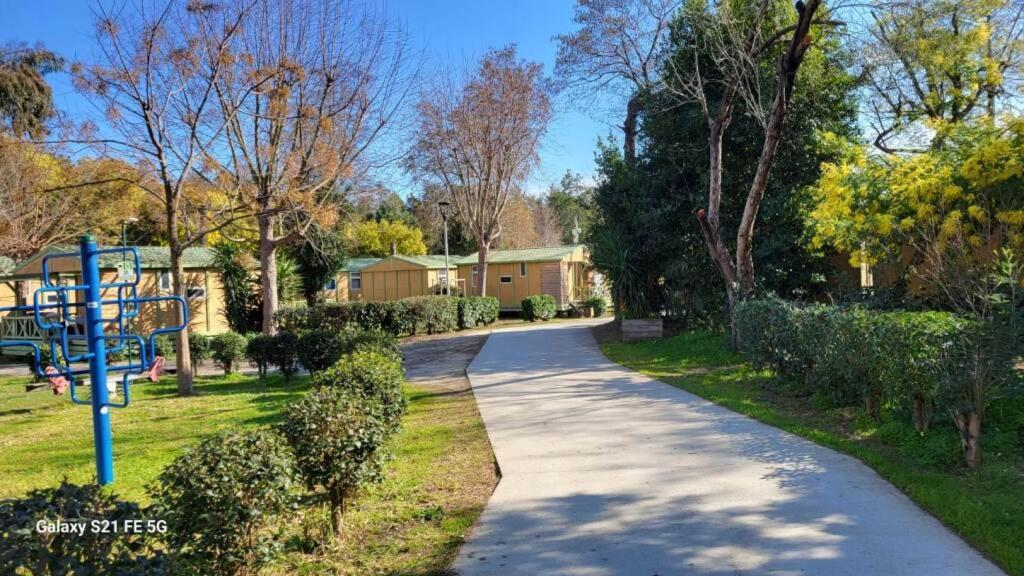 Chalet Avec Patio En Haute Corse 5 Couchages Camp du Cap Sud المظهر الخارجي الصورة